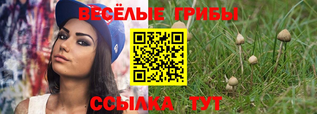 Галлюциногенные грибы Magic Shrooms  Вход с VPN  Новоалександровск 